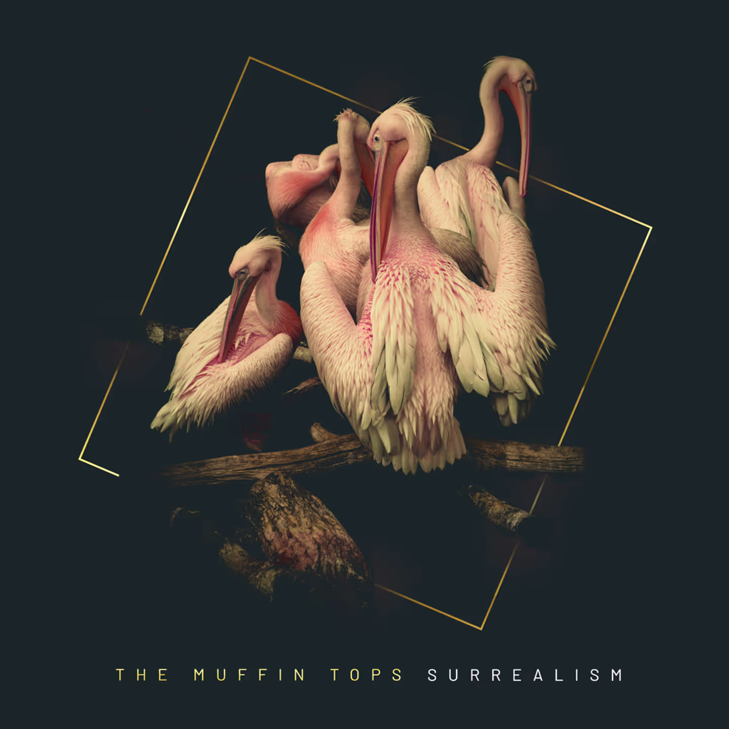 Album cover Surrealism